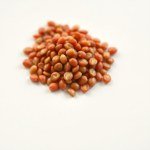 Gold Round Tomato Seeds