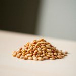 Brown Tomato Seeds
