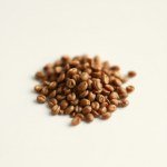 Black Tomato Seeds