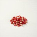 Red Radish Seeds
