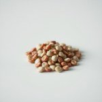 بذور فراولة إسباني 100 بذرة (Fragaria × ananassa) فراولة إسباني