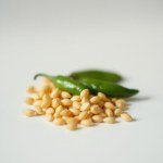 بذور فلفل ألوان ميكس 10 بذور (Capsicum annuum) فلفل ألوان