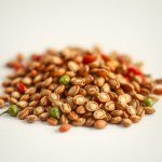 Sweet Pepper Seeds