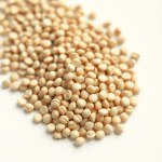 Soybean Seeds 50g (Glycine max)