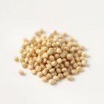Armenian Cucumber Seeds (Qatta / Snake Cucumber)