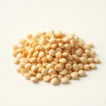 Seeds (Cucumis melo)