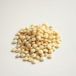 بذور كوسة صفار البيض 3 بذور (Cucurbita pepo var. cylindrica) كوسة صفار البيض