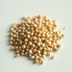 بذور أقحوان تاجي (Crown Daisy Seeds) 20 بذرة