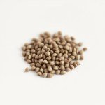 بذور إبرة الراعي الجيرانيوم ميكس (Geranium Mix Seeds) 10 بذور