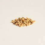 بذور القطيفة المخملية (Velvet Marigold Seeds)