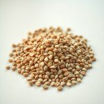 Flax Seeds