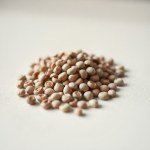Sweet Pea Seeds