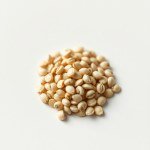 Dwarf Sunflower Seeds