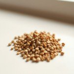 Dimorphotheca Mix Seeds
