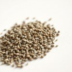 بذور روزماري (Rosemary Seeds) – 100 بذرة