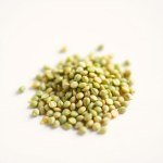 Lemon Basil Seeds 30 Seeds