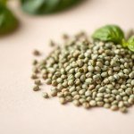 Thai Basil Seeds