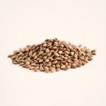 بذور ريحان عطر باسيلي (Basil Basilic Seeds)