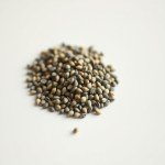 بذور ريحان كاردينال (Cardinal Basil Seeds)