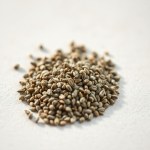 بذور زعتر جبلي (Mountain Thyme Seeds) الاسم العلمي: Thymus capitatus
