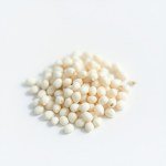 بذور زهرة المدنة (Morning Glory Seeds) الاسم العلمي: Ipomoea purpurea