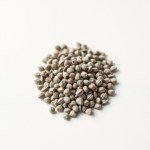 Verbena Seeds