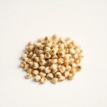 بذور صباريات (Cactaceae spp.) الصباريات