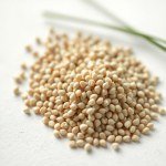بذور نبات الثوم المعمر (Allium sلـenoprasum) ثوم معمر