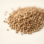 بذور نعناع 20 بذرة Anise Hyssop (Agastache foeniculum) نعناع يانسوني