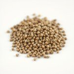 بذور نعناع مليسا 30 بذرة (Melissa officinalis) نعناع مليسا
