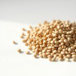 ذور زهرة الخلود (هليكريزم) – Helichrysum Seeds الاسم العلمي: Helichrysum bracteatum (وتُعرف أيضًا باسم Xerochrysum bracteatum)