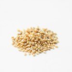 Seeds " Irrigation " (Primo One) – color (1 g )