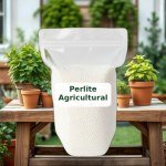 Agricultural Perlite 12L