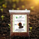 Luxury Agricultural Soil - 20L