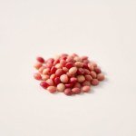 Red Radish Seeds 15g
