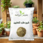 Wormwood (Shih / Artemisia) Snake-Repellent Herb 30g