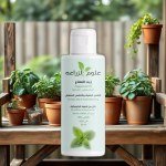 Mint Oil 50ml