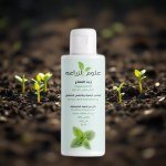 Mint Oil 50ml