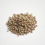 Coriander Seeds 25g