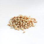 Onion Seeds 750