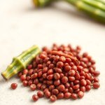 Red Okra Seeds 20g