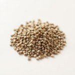 Chia Seeds 10g