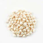 White Eggplant Seeds 7g
