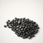 Black Eggplant Seeds 7g