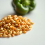 Bell Pepper Seeds 7g