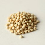 Cucumber Seeds 8g