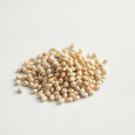 Molokhia (Jute Mallow) Seeds 50g