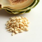 Artichoke Seeds 3g