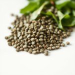 Spinach Seeds 25g