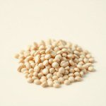 Kidney Beans Seeds 50g